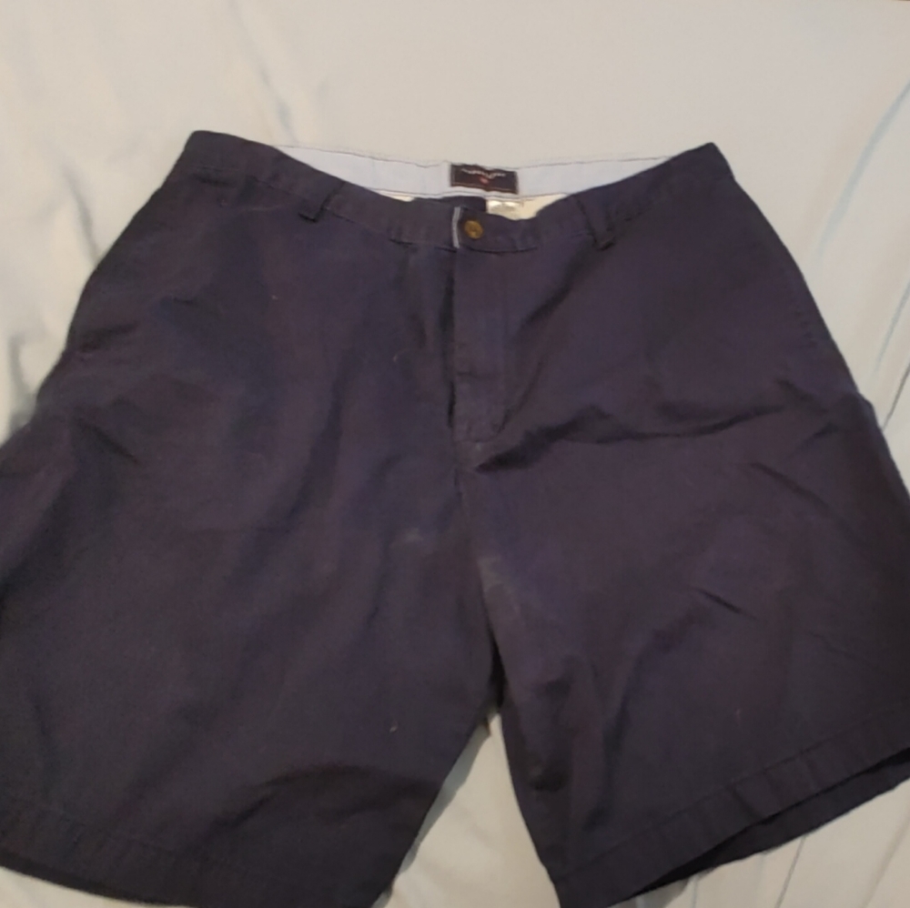 Saddlebred shorts